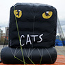 CATS Cube abc 375cm sturmsicher abgespannt